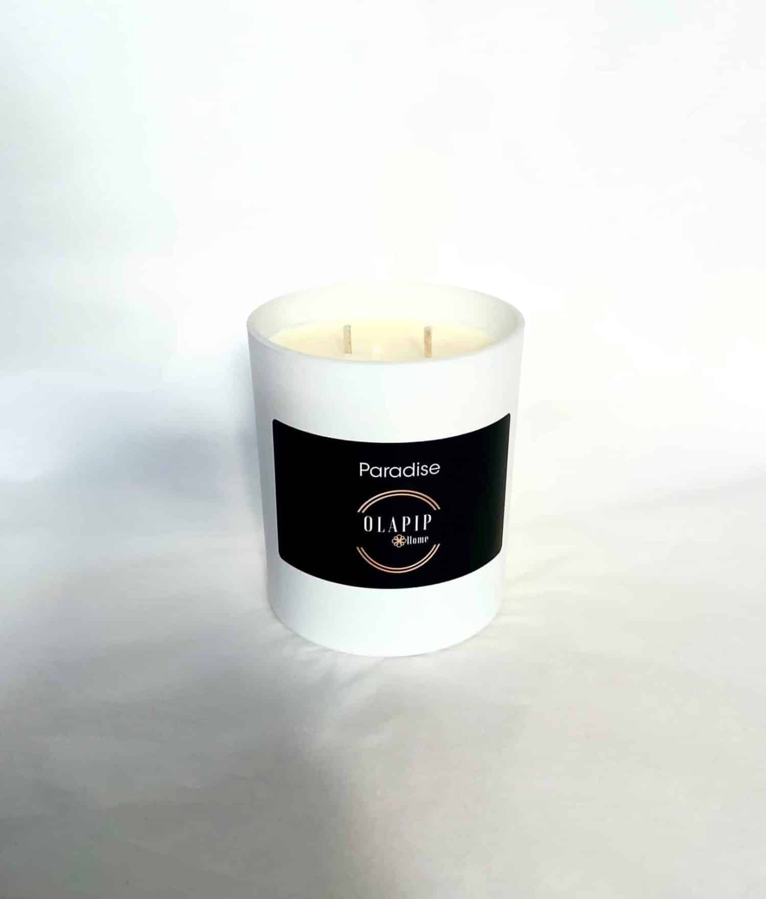 Paradise double-wick soy candle